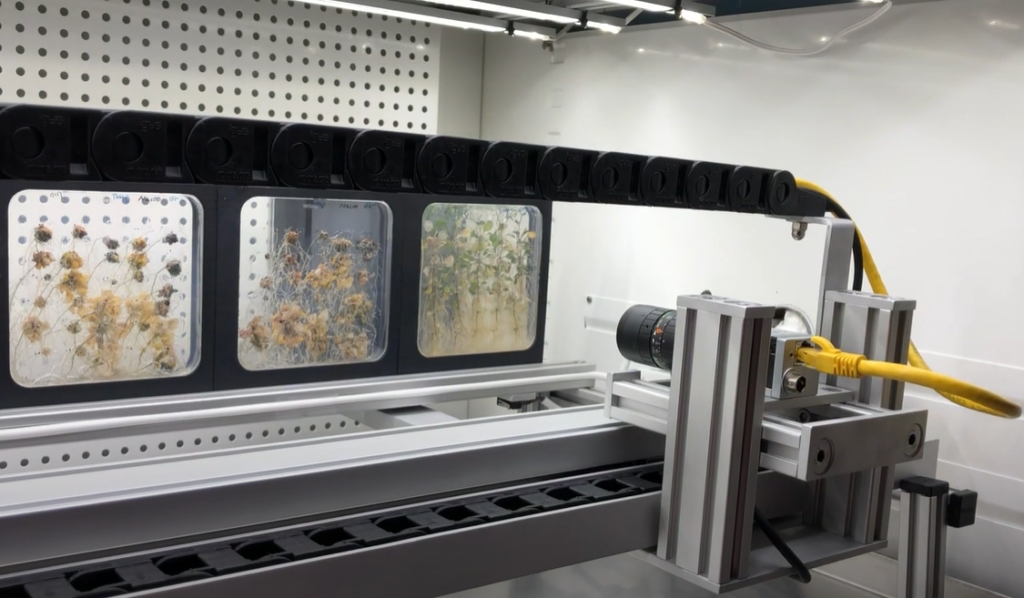 XYZ lineair systeem voor laserprinting