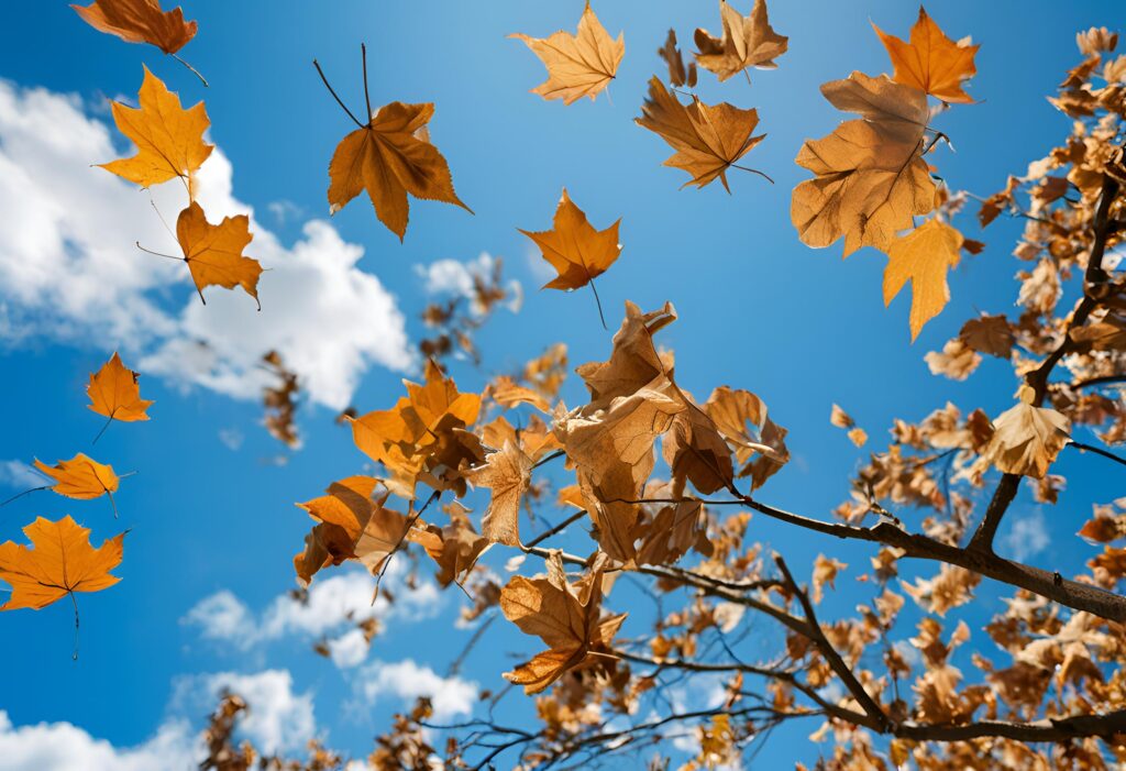 schone lucht met wolken en herfstbladeren in de wind